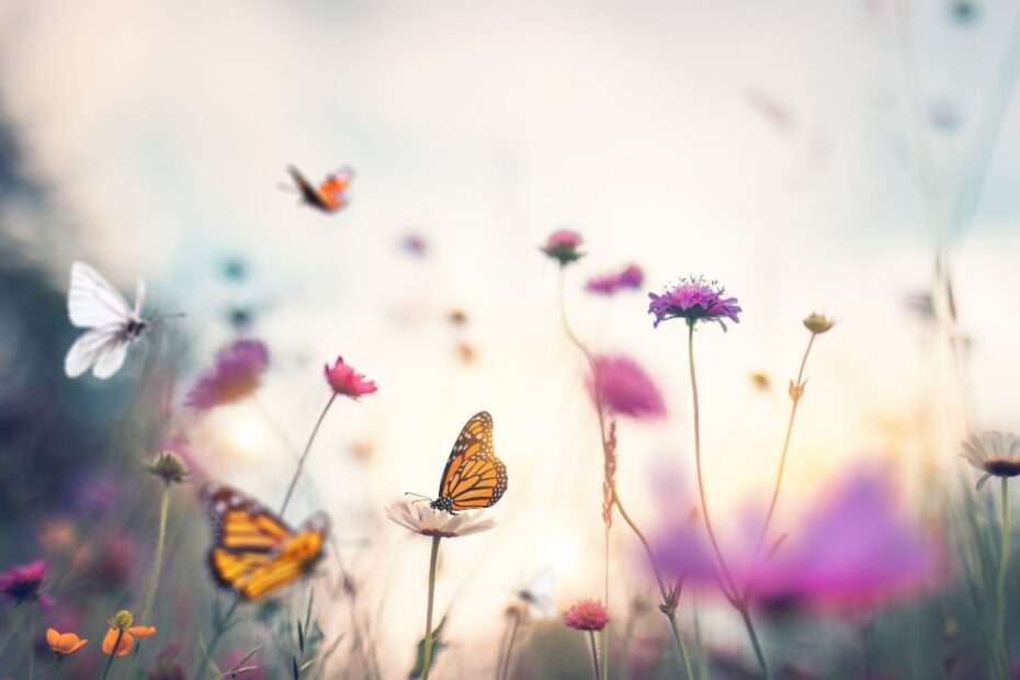 Transformational Grief
